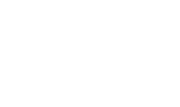 לוגו ויצו