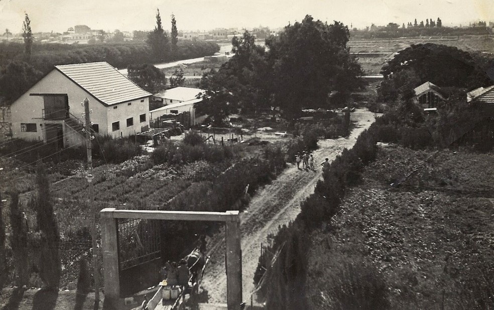 Meshek Hapoalot Beit Hana Tel Aviv photo Walter Zedek